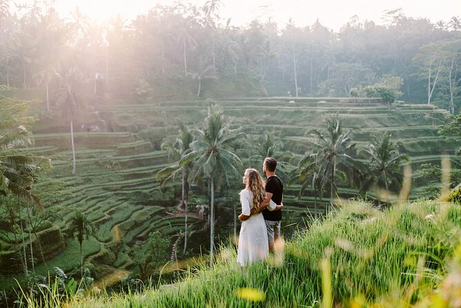 Private Tour: Waterfall, Kintamani Volcano, Ubud Tour With Lunch - Tour Stops and Highlights