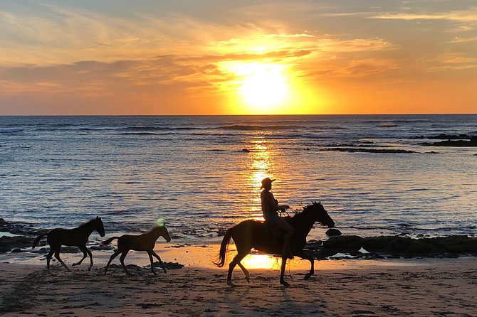 Private Tours and Transfer Costa Rica - Tour Details