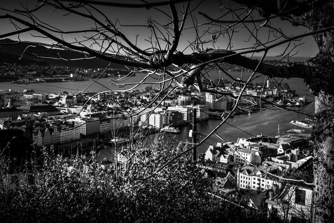 Private Transfer Bergen - Flaam 6-15 Passengers - Pre-Book Your Private Transfer
