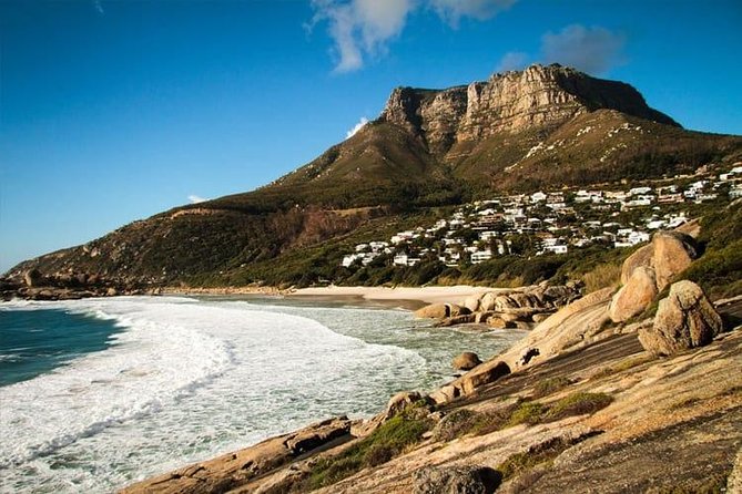 Private Transfer: CPT Airport to Cape Town in Luxury Van - Accessibility Information