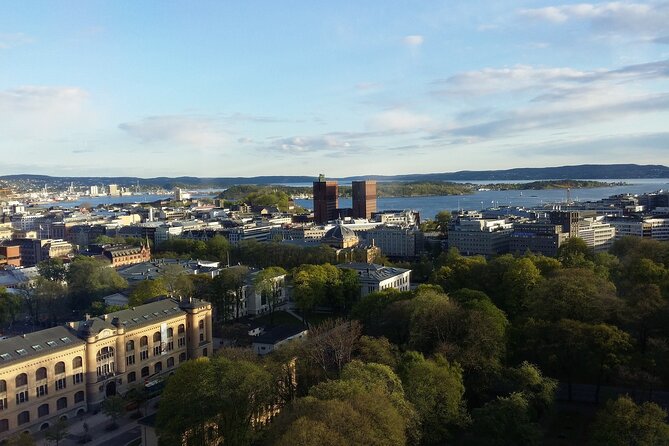 Private Transfer From Oslo To Geilo With a 2 Hour Stop in Drammen - Booking the Private Transfer Service