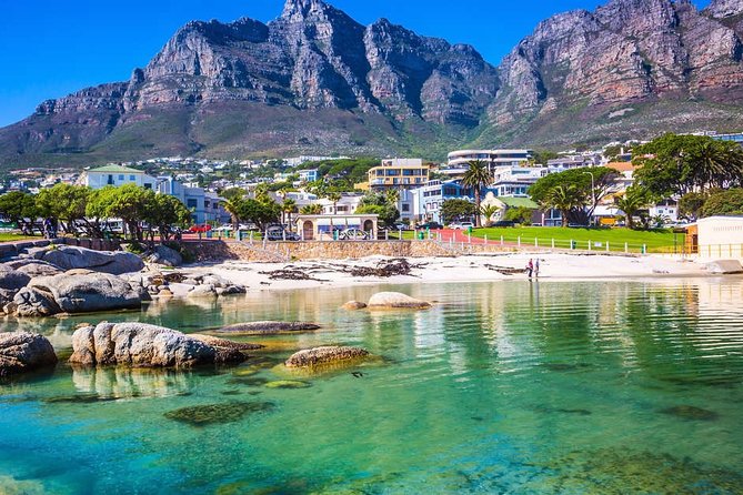 Private Transfer: Tambo Airport JNB to Johannesburg in Luxury Car - Booking Information