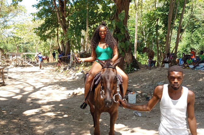 Private Transport to Dunns River/ Blue Hole/ Horseback Riding - Meeting and Pickup Details