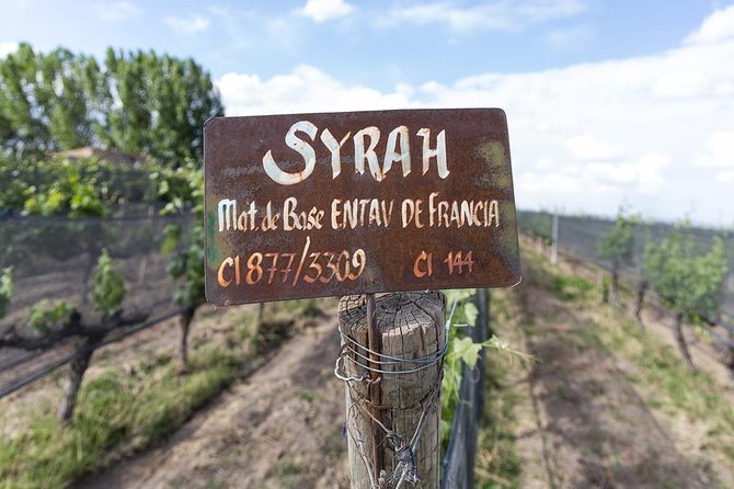 Private Uco Valley Tour Including Lunch and Wine Tasting From Mendoza - Tour Pricing and Duration