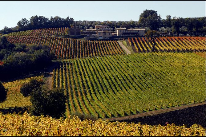 Private Umbria Wine Day Trip From Assisi  - Perugia - Tour Highlights