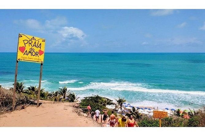 Private Van Tour to Pipa's South Coast - Transportation Details