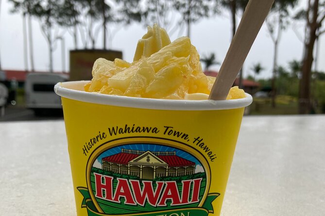 Private VIP Limousine Tour "Dole Plantation" & the "North Shore" - Good To Know