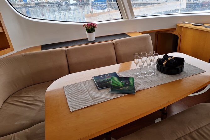 Private VIP Northern Light Safari With Luxury Catamaran in Tromso - Overview of the Northern Light Safari