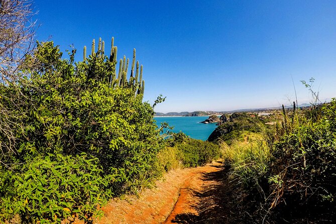 Private Walk Through the Natural Pools in Búzios - Natural Pools in Búzios Overview