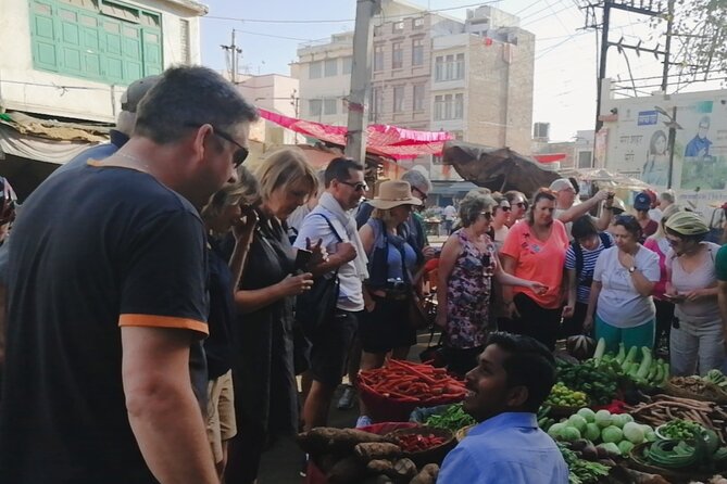 Private Walking Tour of Udaipur With a Professional Guide - Tour Overview