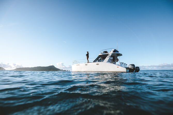 Private Whale Watching and Coastal Swimming Tour Honolulu - Tour Details