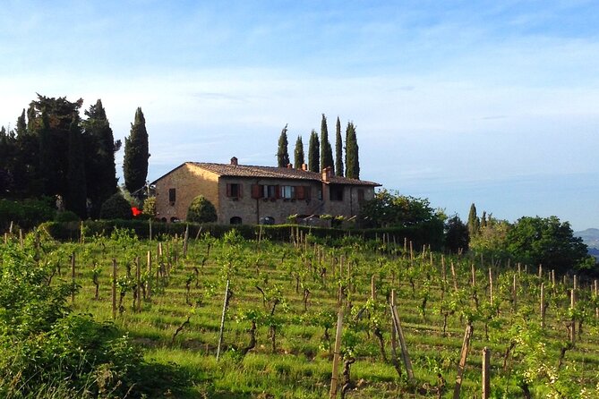 Private Wine & Evo Oils Tasting With Vegetarian Meal - Cancellation Policy Details