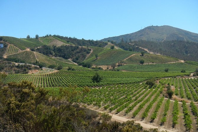 Private Wine Tour in Valparaíso - Tour Pricing and Booking