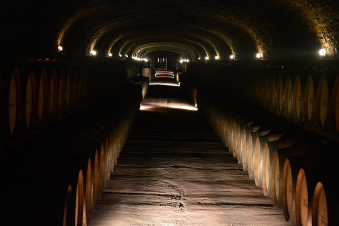 Private Wine Tour With Lunch in Chianti Classico (2 Wineries) - Tour Highlights