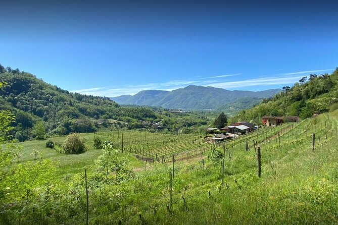 Private Wine Tour With Lunch in Garfagnana - Tour Highlights