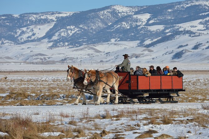 Private Winter Tour of Grand Teton National Park & Sleigh Ride - Winter Wonderland in Grand Teton