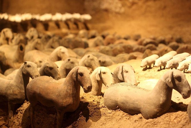 Private Xian Tour: Terracotta Warriors, Hanyangling Museum, Cave Homes - Tour Overview and Inclusions