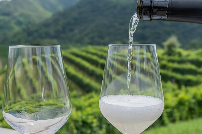 Prosecco'S Roots & the Karst Region From Trieste - History of Prosecco