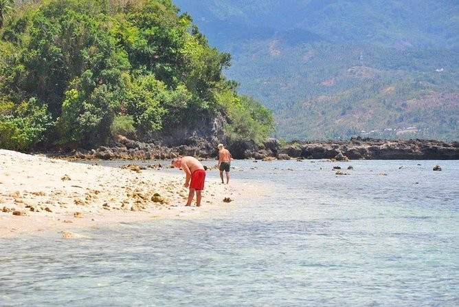 PUERTO GALERA Island Hopping & Snorkeling - Tour Overview