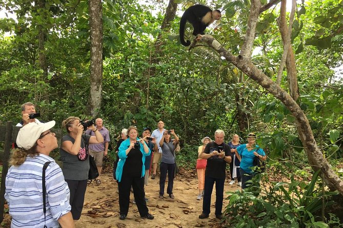 Puerto Limon Highlights 6 in 1 Combo Tour. Shore Excursion From Limon - Tour Itinerary