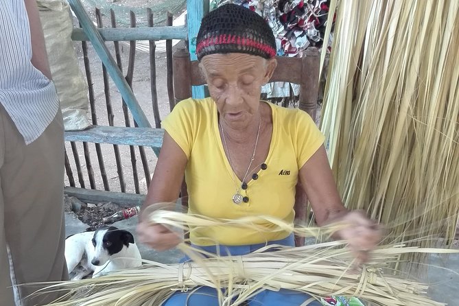 Puerto Plata: Escapada Cultural Tour in Puerto Plata - Tour Overview and Activities