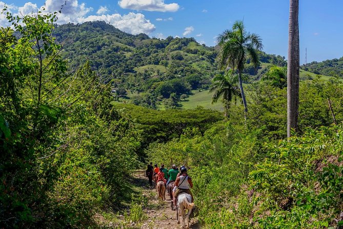 Puerto Plata: Wild & Eco Adventure - Beach Activities and Water Sports
