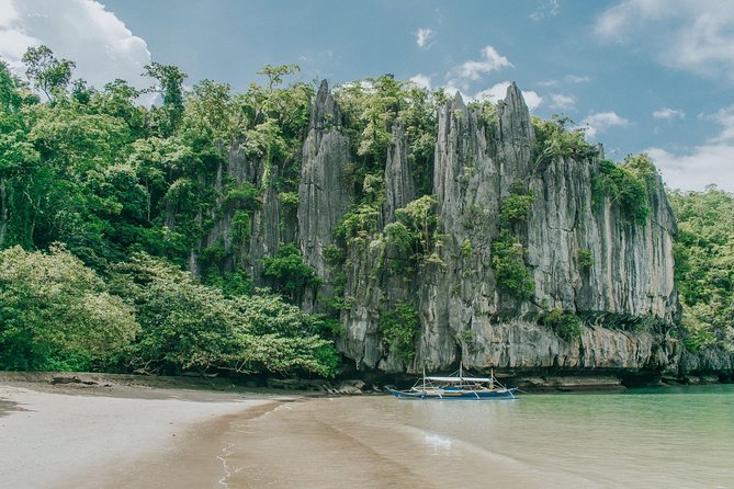 Puerto Princesa 3-in-1 River, Zipline, and Mangroves (Feb ) - Tour Highlights
