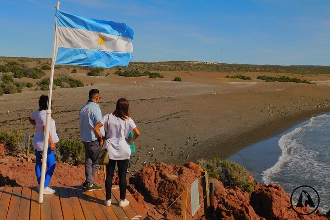 Punta Tombo With Puerto Madryn Shore Excursions Tours - Tour Overview