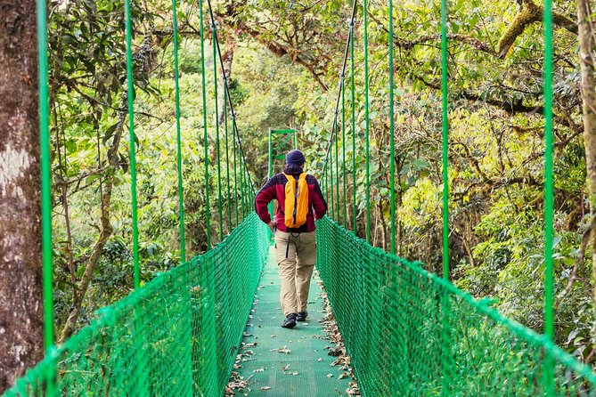 Puntarenas Shore Excursion: Rainforest Skywalk & Tarcoles River Eco Cruise - Pickup Details