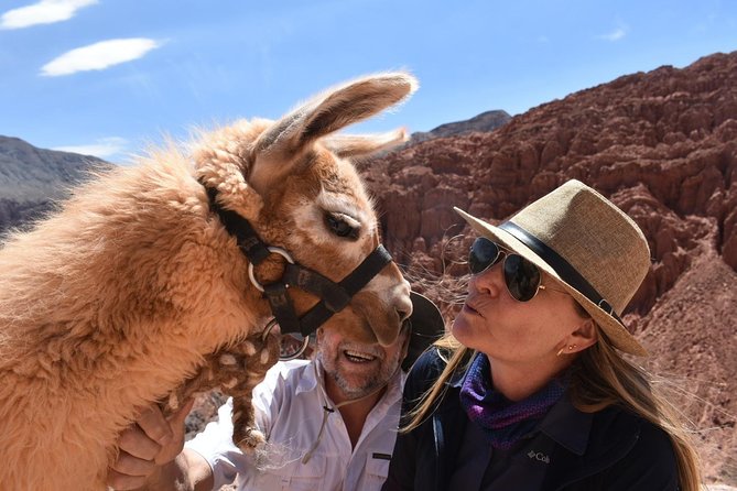 Purmamarca Walk With Llamas - Pricing and Booking Details