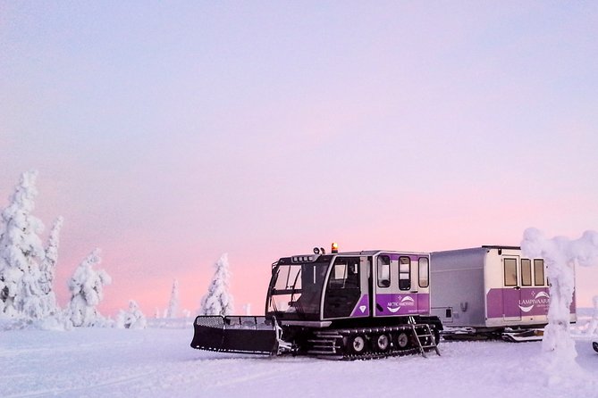 Pyhä-Luosto National Park and Amethyst Mine by Car From Inari-Saariselkä - Tour Details