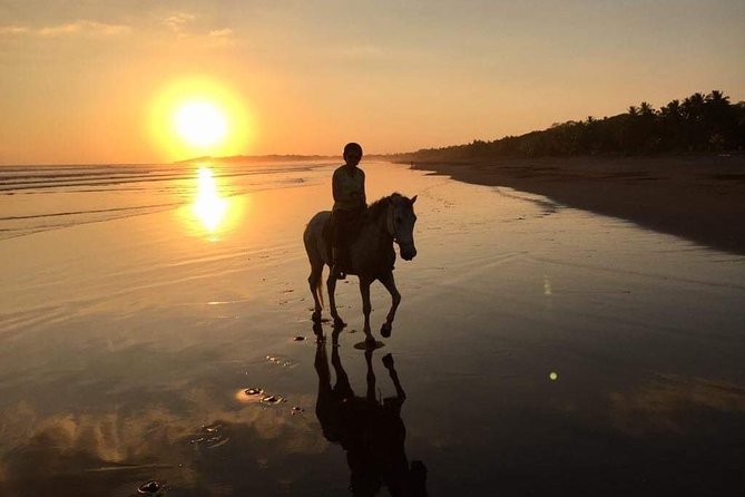 Quality Horseback Riding On The Beach - Logistics Information