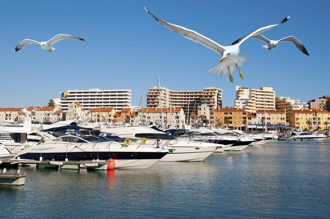Quarteira Gypsy Market & Vilamoura Marina Half-Day Trip - Overview and Itinerary