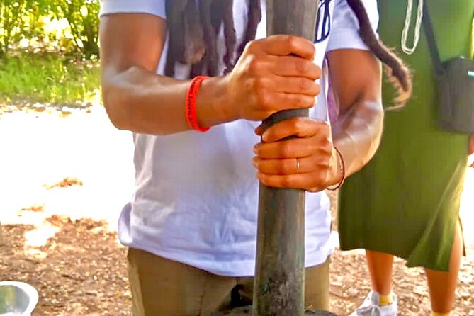 Quilombo Heritage Private Tour - Tour Highlights