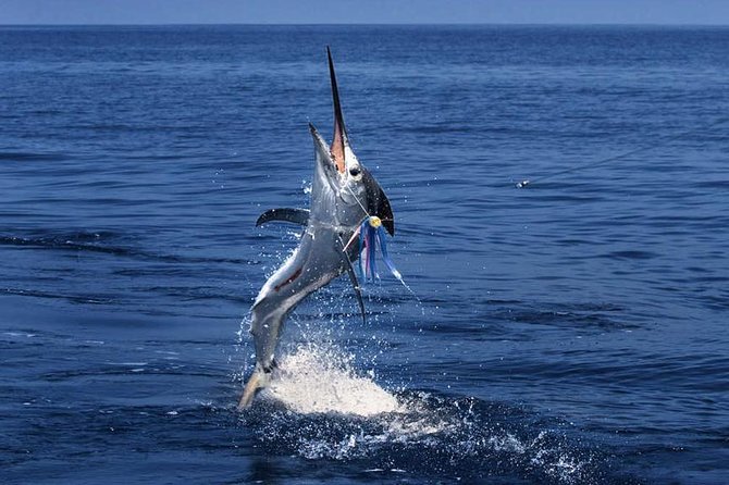 Racha Island Fishing Game From Phuket - Tour Highlights
