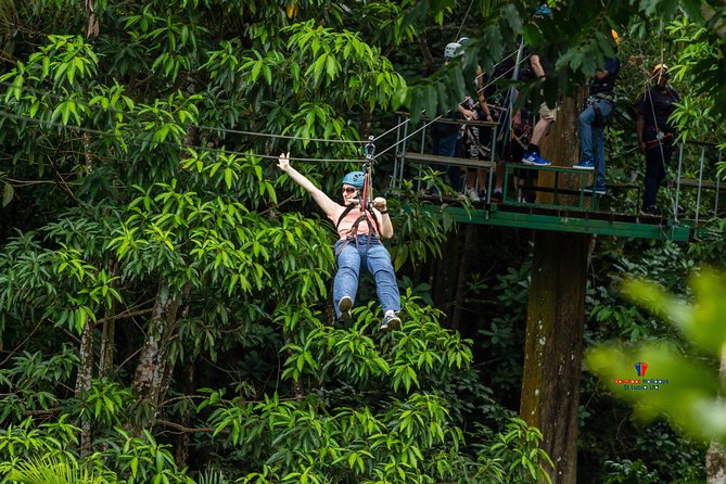 Rainforest Canopy Adventure From Vieux Fort or North Island, St Lucia - Tour Details