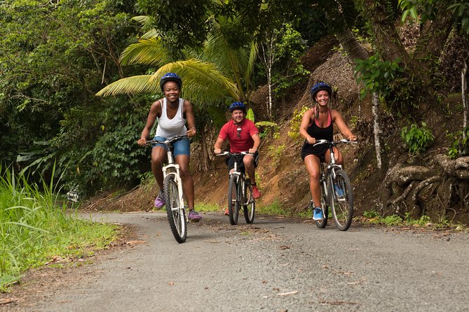 Rainforest Cycling Adventure in St. Lucia - Tour Overview
