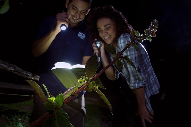 Rainforest Night Walk and Authentic Costa Rican Dinner From La Fortuna - Pricing and Booking Information