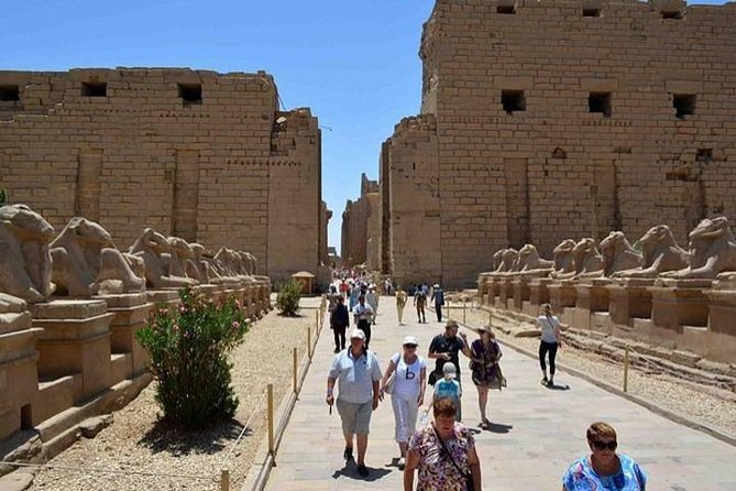 Real Life Egypt Shore Excursions From Safaga to Luxor Day Trip - Itinerary Highlights