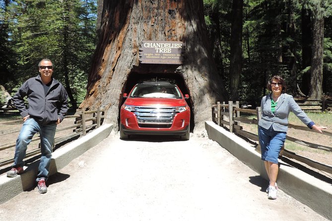 Redwood National Park Tour 3-Day Private Tour Package Hotel Included - Tour Overview