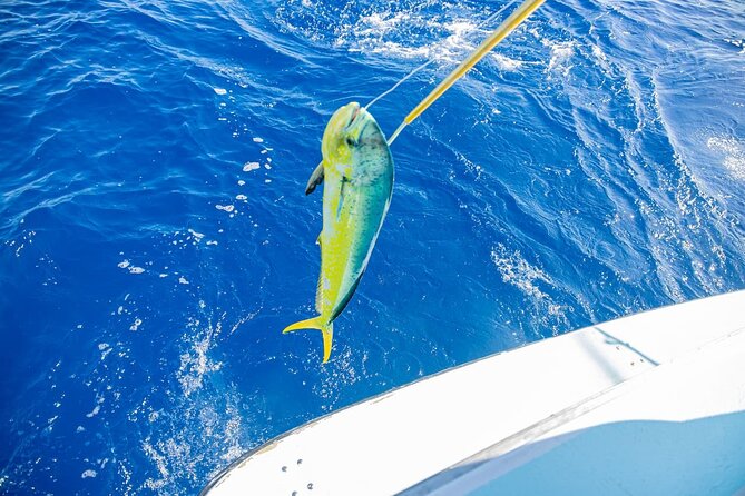 Reel Adventures: A Fin-tastic Fishing Tour - Fishing Equipment Provided