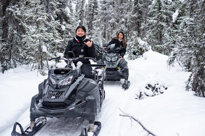 Reindeer and Snowmobile Day Trip to Borealis Basecamp With Lunch - Tour Details
