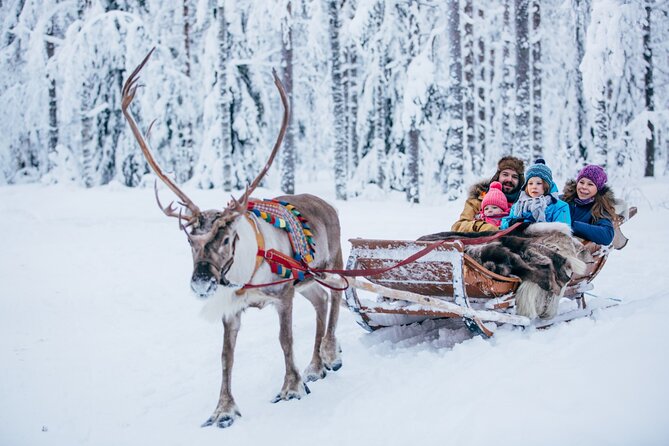 Reindeer Sleigh Ride and Farm Experience From Rovaniemi - Reindeer Farm Visit