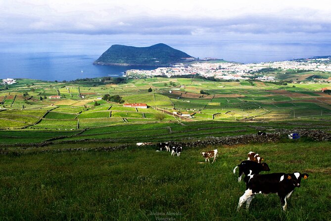 Rent Moped Scooter on Terceira Island, Angra Do Heroismo - Rental Options