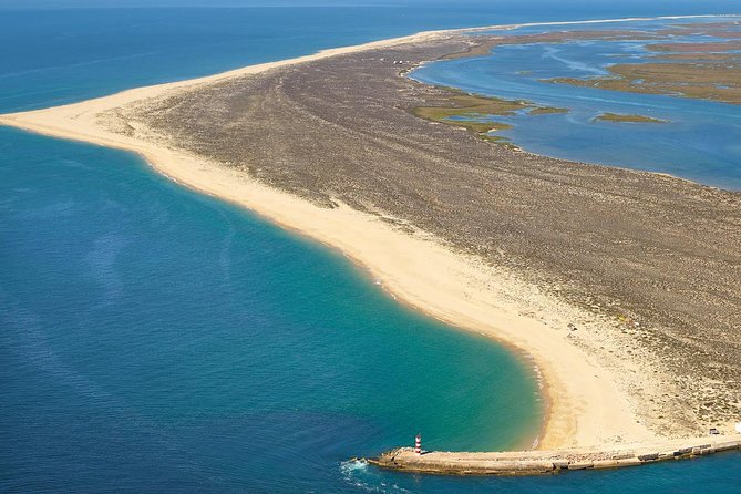 Ria Formosa Natural Reserve Park Day Trip From Albufeira - Overview and Experience