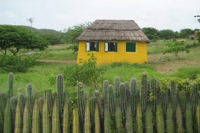 Rincon Visit With Local Guide - Overview and Experience