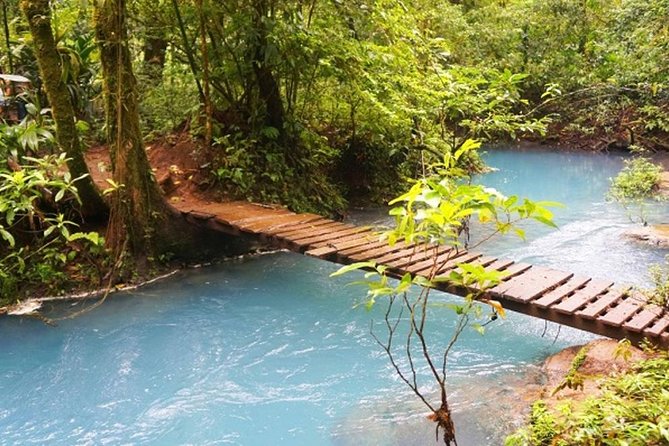 Rio Celeste Hiking, Sloth Sanctuary & Llanos De Cortes Waterfall Tour - Pricing and Booking
