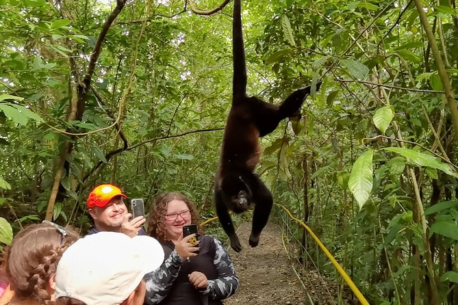 Rio Celeste, Waterfalls, Rain Forest Volcanoes and Sloth Habitat Private Tour - Tour Details