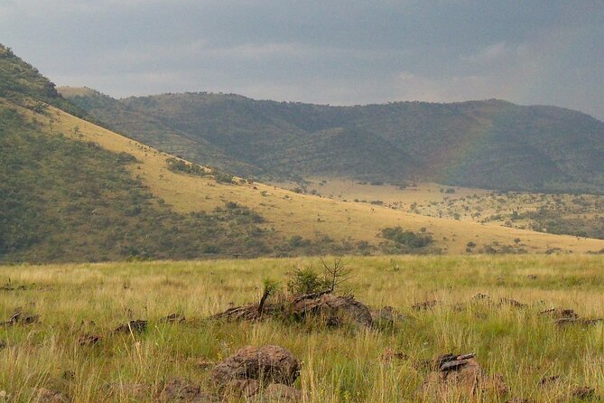 Roar Through the Bush Quadbike Safari Adventure Near Johannesburg - Overview and Details