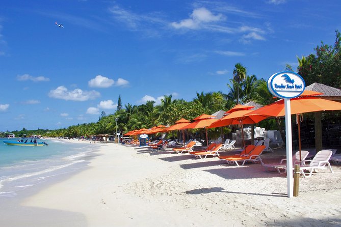 Roatan Excursion: Horseback Ride / Plus Sloth Park and Beach Break - Inclusions